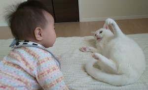 赤ちゃんと猫2